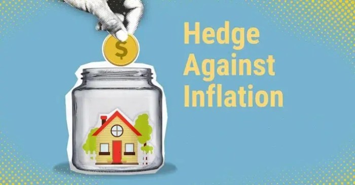 Inflation hedge currencies infographic