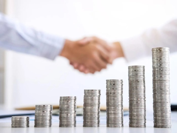 Income Funds vs Growth Funds