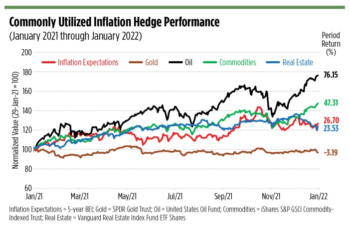 Hedge inflation wealthmanagement