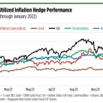 Inflation Hedge Strategies for Long-Term Investors
