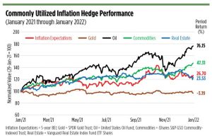 Inflation Hedge Strategies for Long-Term Investors